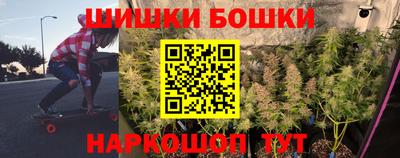 крисы Краснознаменск