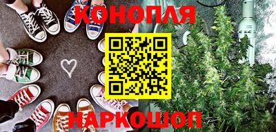 крисы Краснознаменск