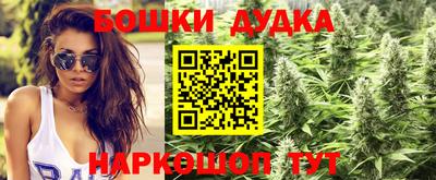 крисы Краснознаменск