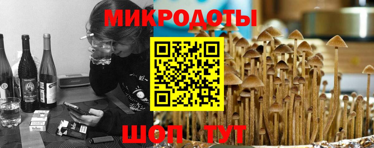 Псилоцибиновые грибы Cubensis Аксай